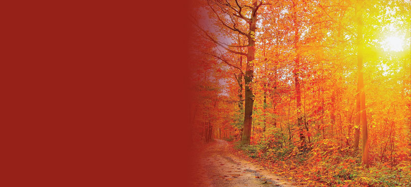 Donate come walk with me